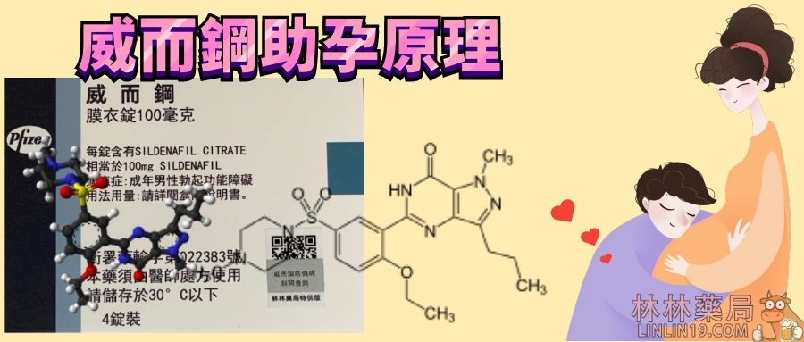 威而鋼助孕原理與作用機理